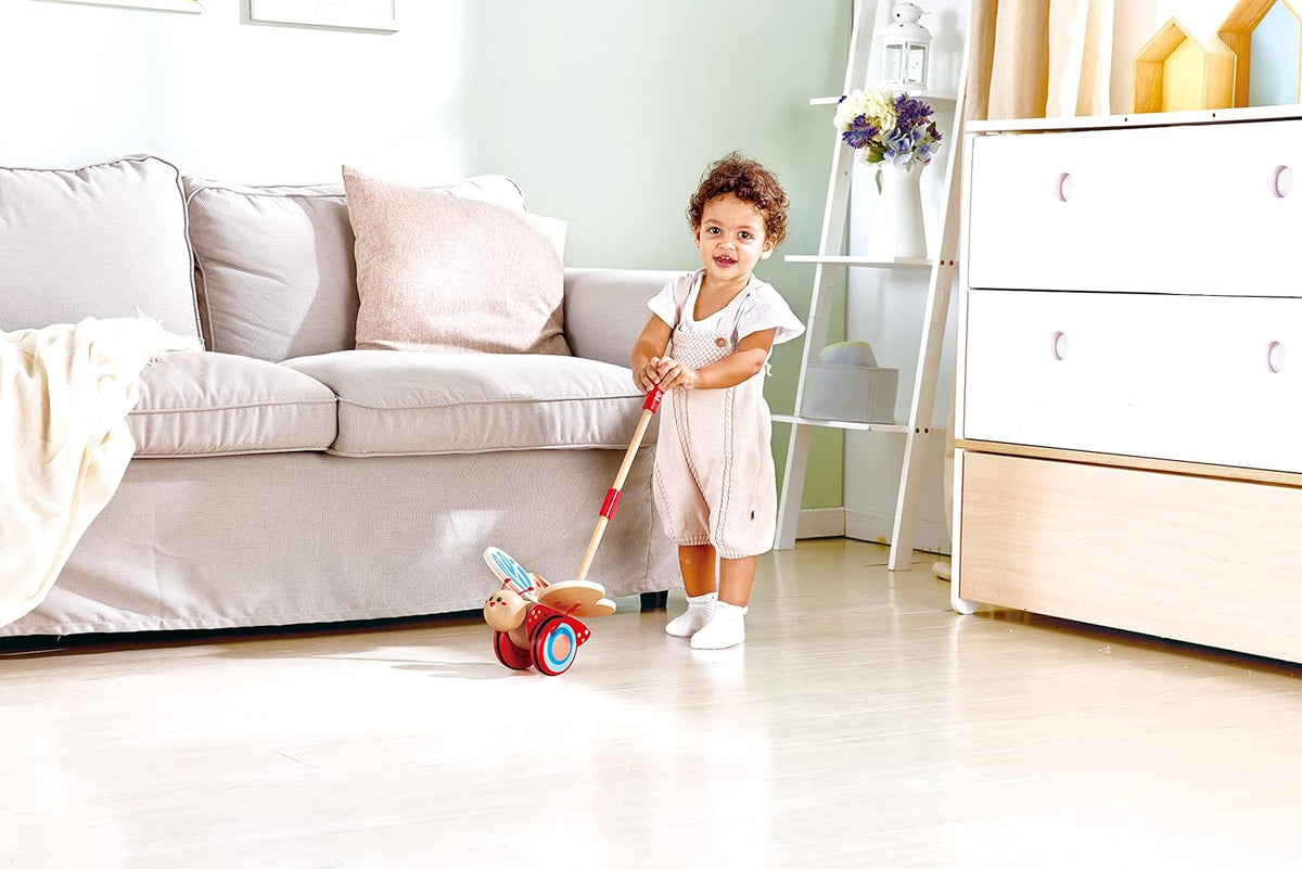 Hape Butterfly Push & Pull Along