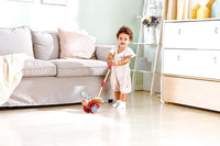 Hape Butterfly Push & Pull Along