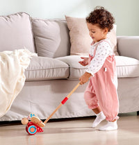 Hape Butterfly Push & Pull Along