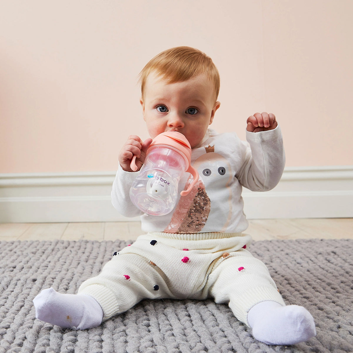 Bbox Sippy Straw Cups