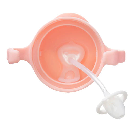 Bbox Sippy Straw Cups