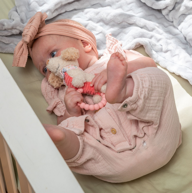 Mary Meyer Teether Rattle