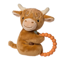 Mary Meyer Teether Rattle