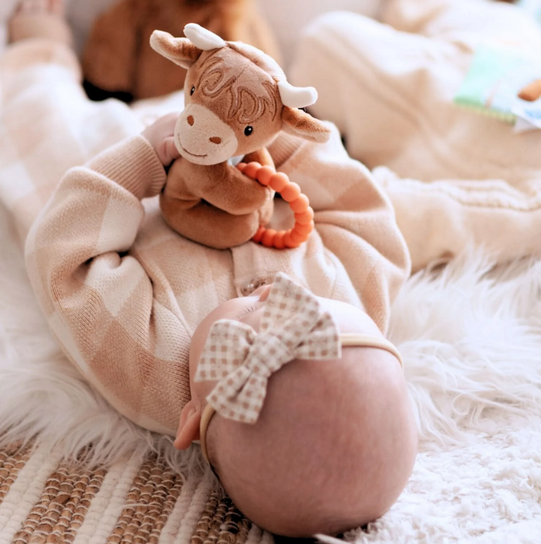 Mary Meyer Teether Rattle