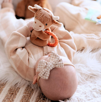 Mary Meyer Teether Rattle