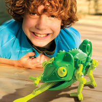 Chameleon Robot -4M