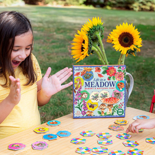 eeBoo Life in a Meadow Memory Game