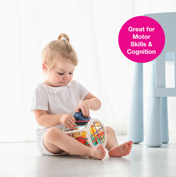Sensory Push & Roll