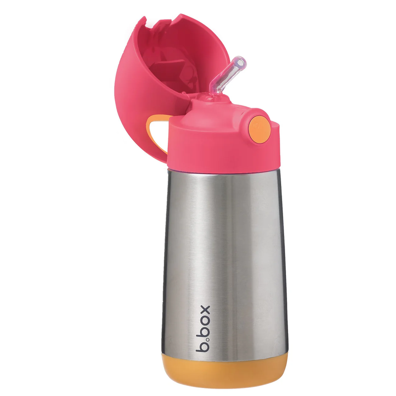 Bbox Insulated Bottles/350ml