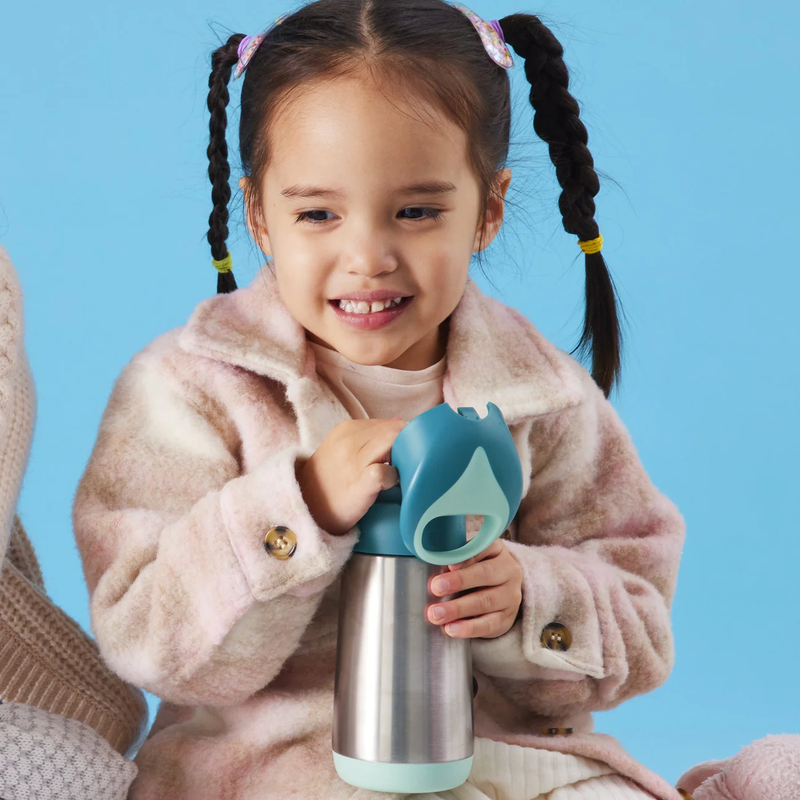 Bbox Insulated Bottles/350ml