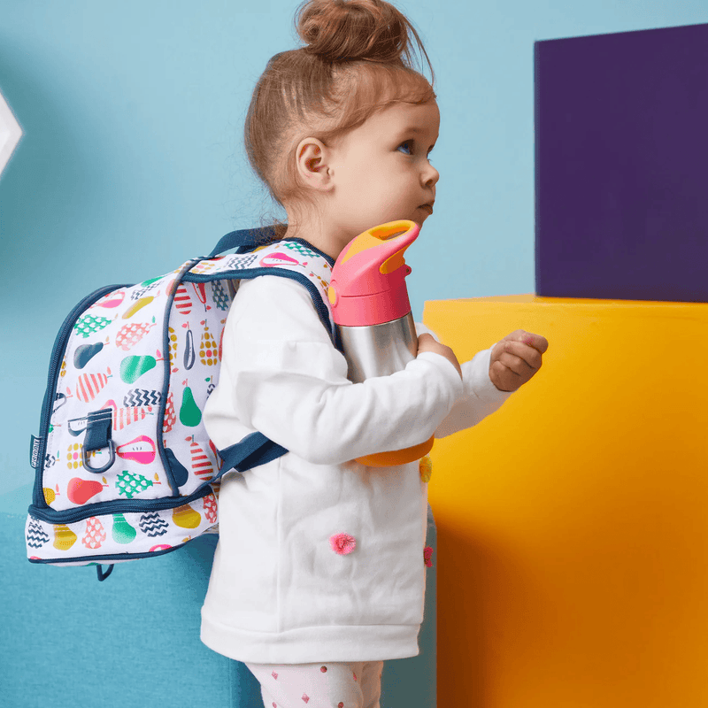 Bbox Insulated Bottles/350ml