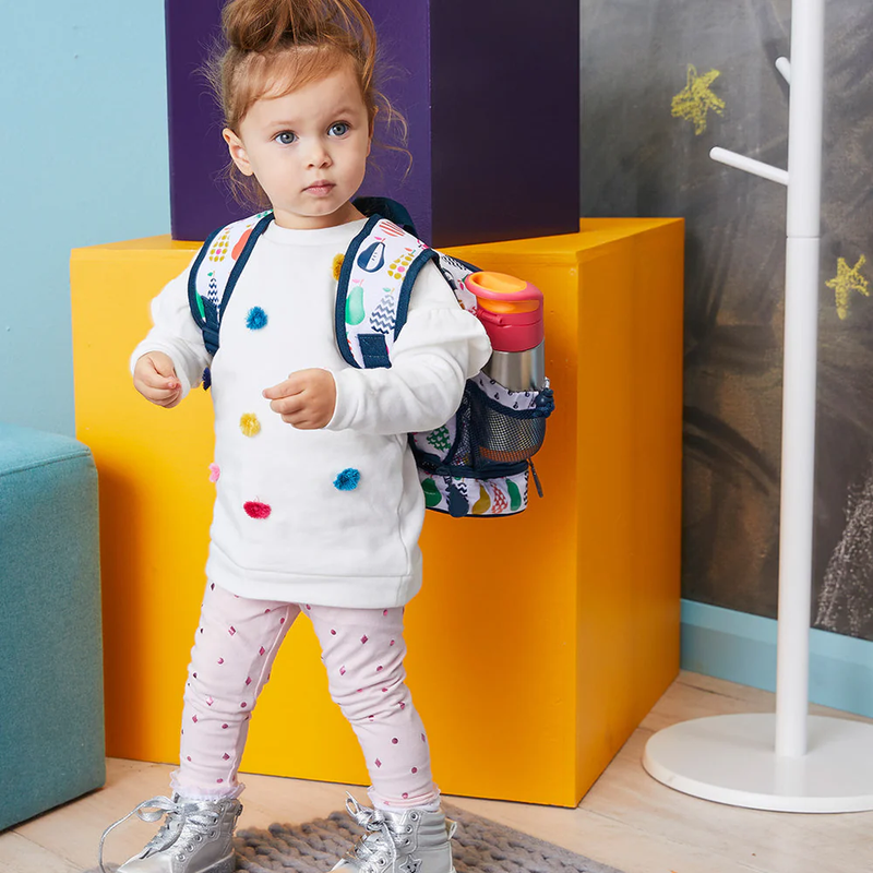 Bbox Insulated Bottles/350ml