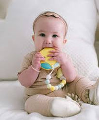 Loulou Lollipop Teether Set with Clip